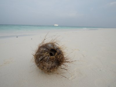 Lucasz Szczepanski Photos